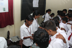 SBF2020-13