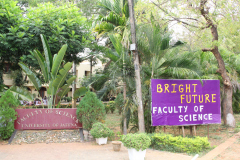 SBF2020-222