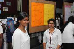 SBF2020-24