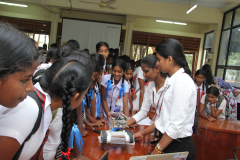 SBF2020-262