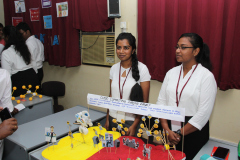 SBF2020-6