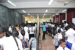 SBF2020-85
