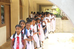 SBF2020-97