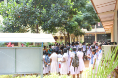 SBF2020-99