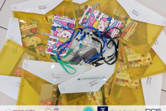 GeSSoMI-2024: Cybersecurity Bootcamp