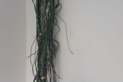 20210314_155936-scaled